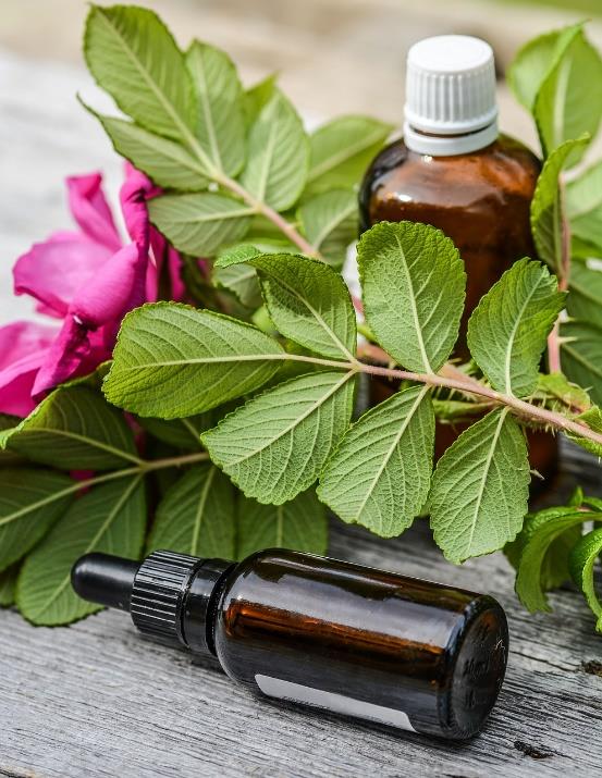 HOW TO GET STARTED WITH ESSENTIAL OILS